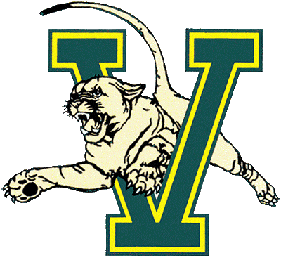 Vermont Catamounts 1981-1997 Primary Logo DIY iron on transfer (heat transfer)